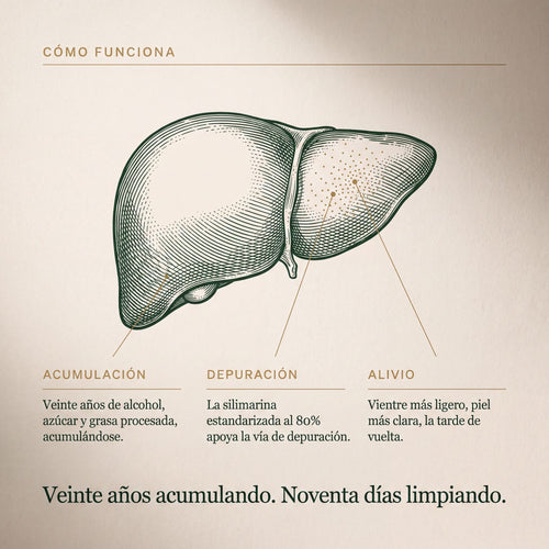 Cardo Mariano Detox Hepático — Fórmula con 80% de Silimarina