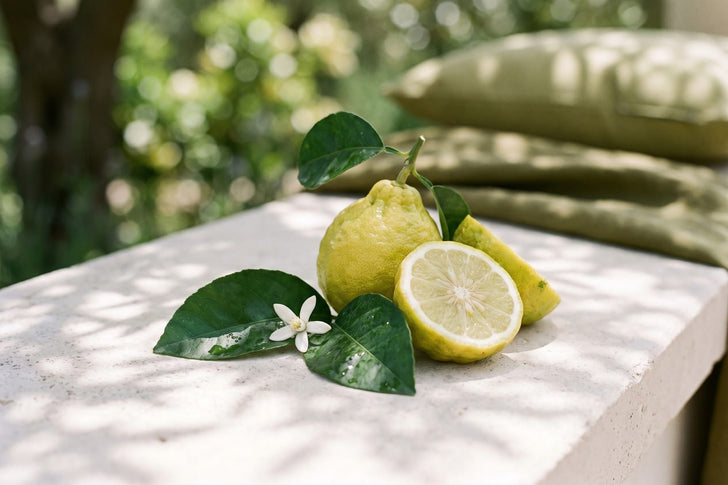 Bergamot citrus fruit, leaves and a blossom