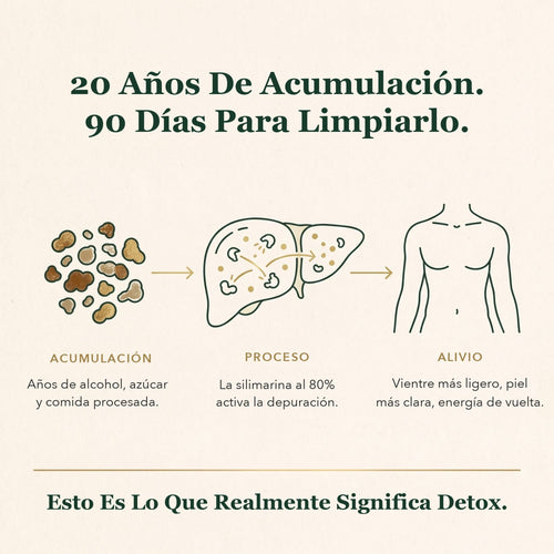 Cardo Mariano Detox Hepático — Fórmula con 80% de Silimarina